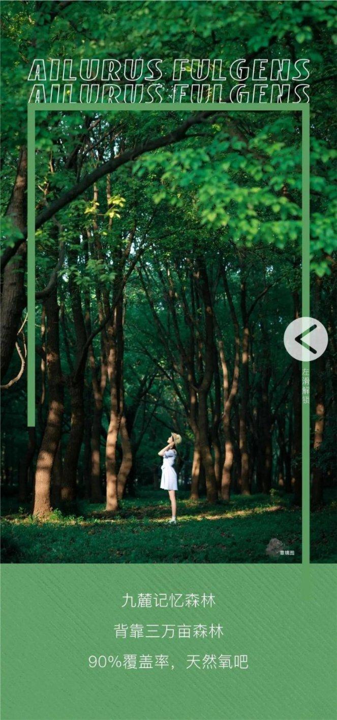 夏日时尚的爱丽